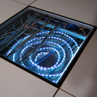 Clear View Floor Panel