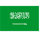 Data Clean Saudi Arabia